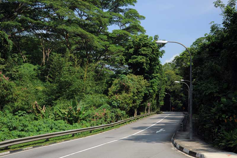 South Buona Vista Road - 99 Bends South Buona Vista Road - 99 Bends