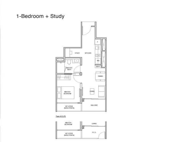 Norwood Grand Floor Plans